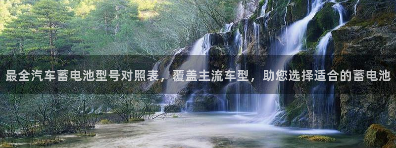 优发国际多少钱
