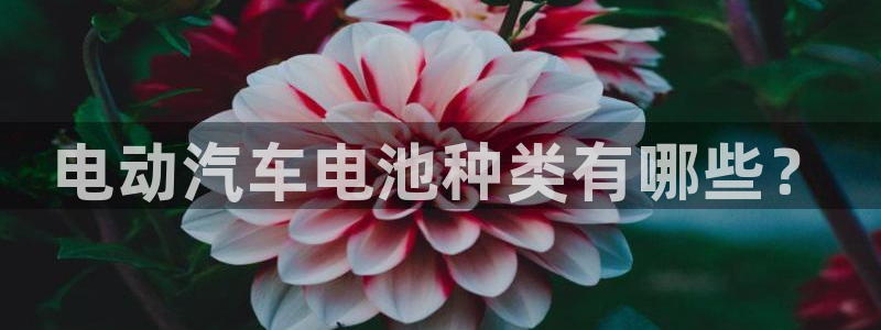 优发国际可以玩吗