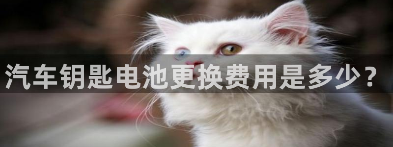 优发国际手机客户端
