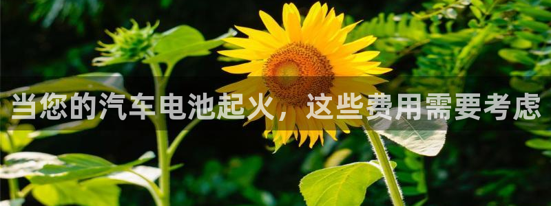 优发国际官网下载安装苹果