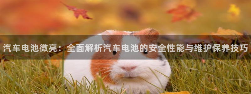 优发国际集团股份有限公司官网