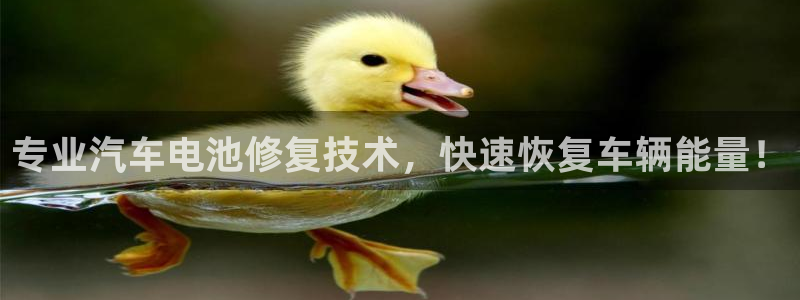 优发国际官网下载app