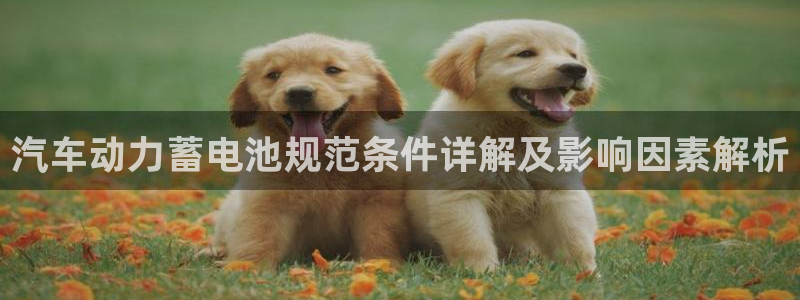 优发国际vip网址