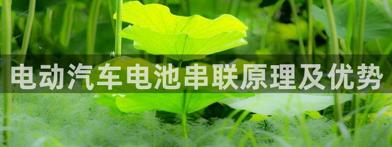 优发国际官网下载app