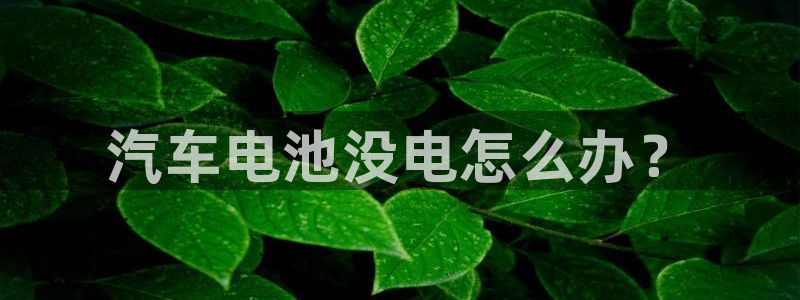 优发国际网官网17q8
