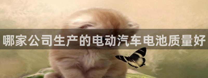 优发国际网官网17k8