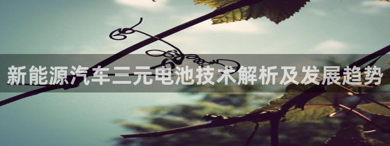 优发国际VIP网址