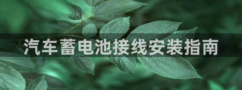 优发国际网官