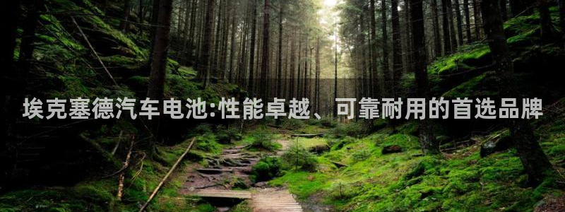优发国际VIP网址