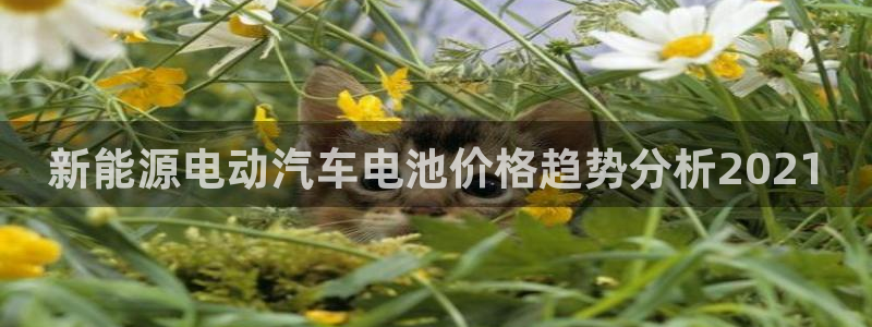 优发国际官方下载app