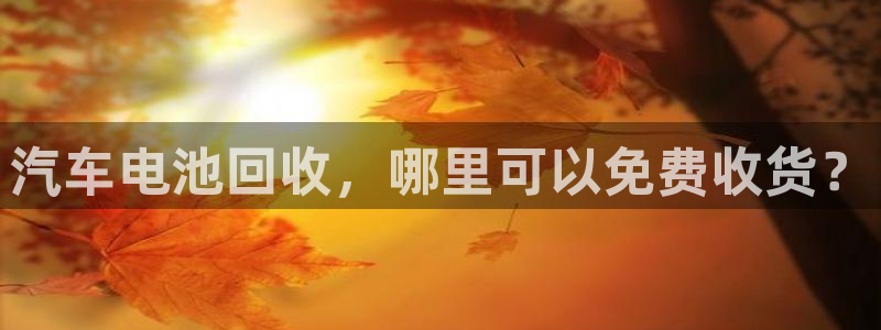 优发国际手机版网站入口