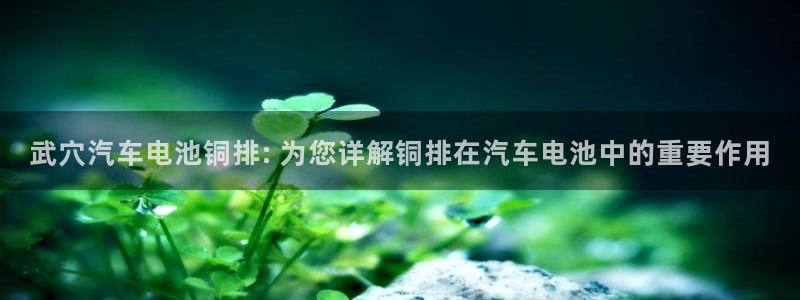 优发国际手机版唯一官网下载