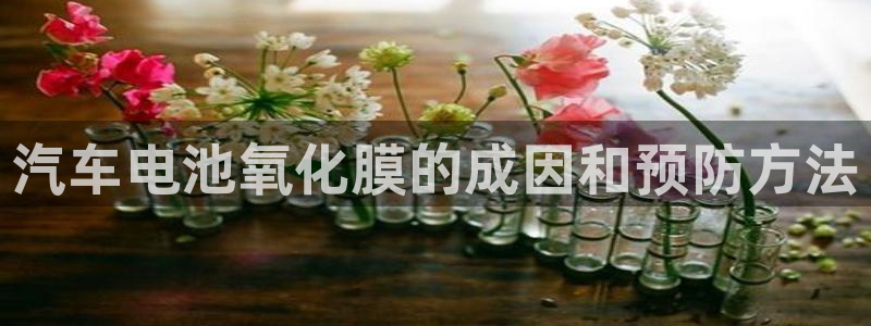 优发国际官网是多少