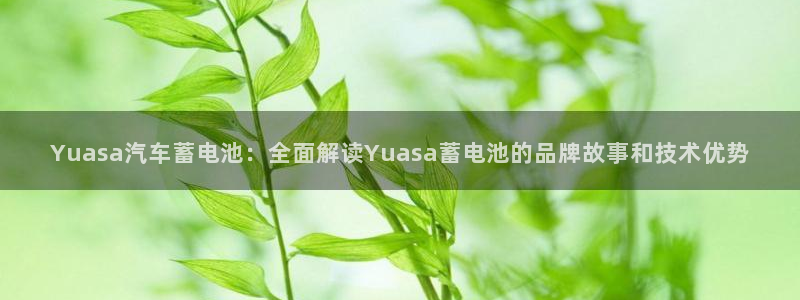 优发国际安卓版下载安装
