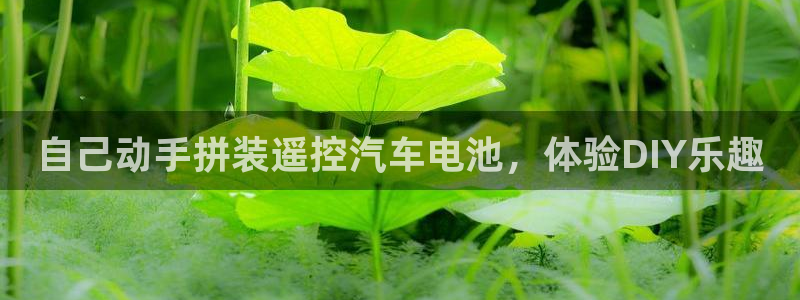 优发国际手机版下载安装