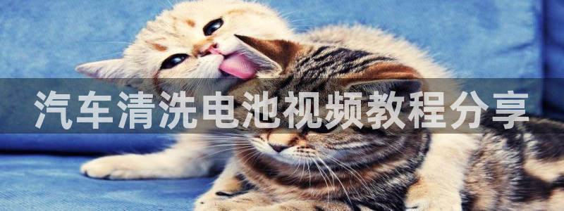 优发国际官方网