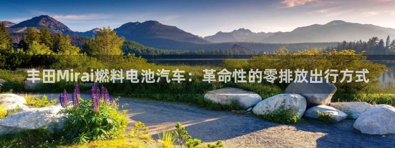优发国际线上娱官网