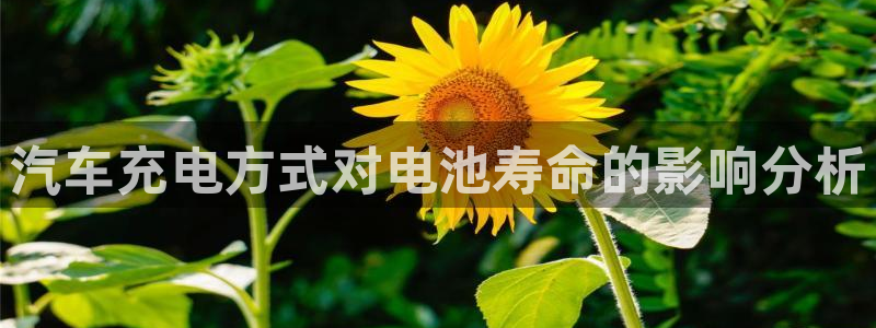 优发国际下载app