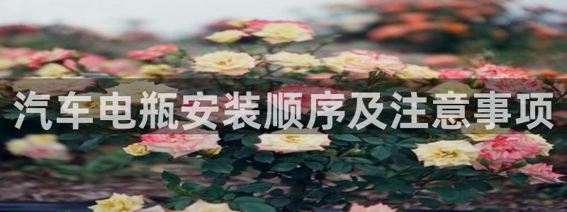 优发国际手机客户端app