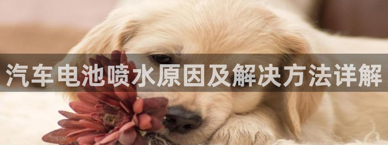 优发国际官网qy88