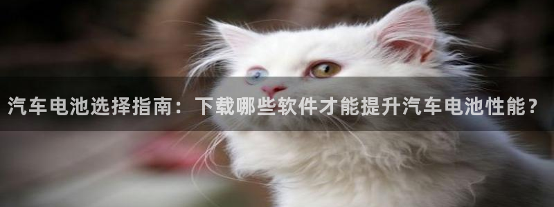 优发国际网站多少