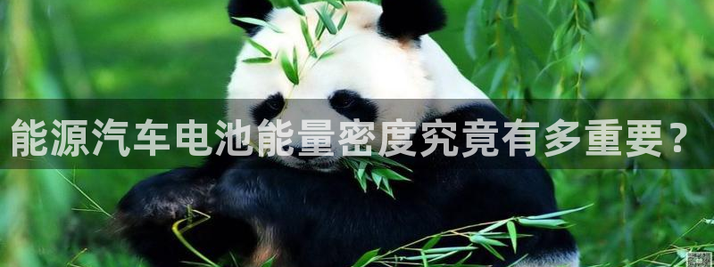 优发国际平台u8怎么样可靠吗
