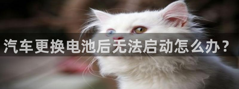 优发国际手机app下载安装