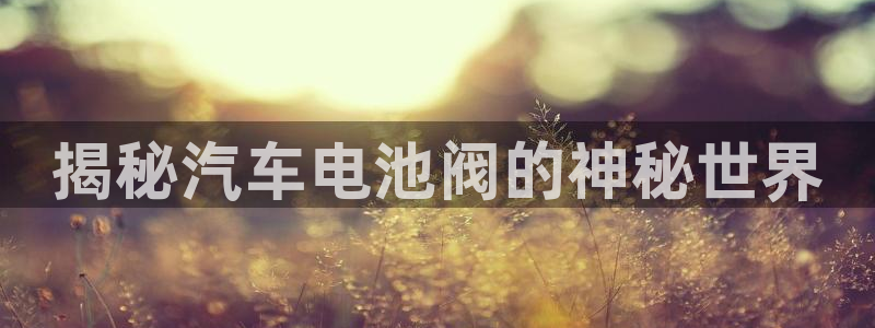 优发国际官方网手机版下载安卓