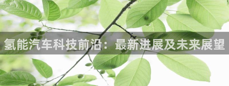 优发国际手机客户端下载安装