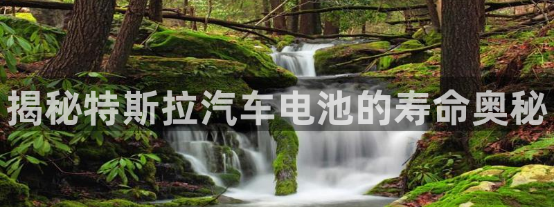 优发国际网官网17q8