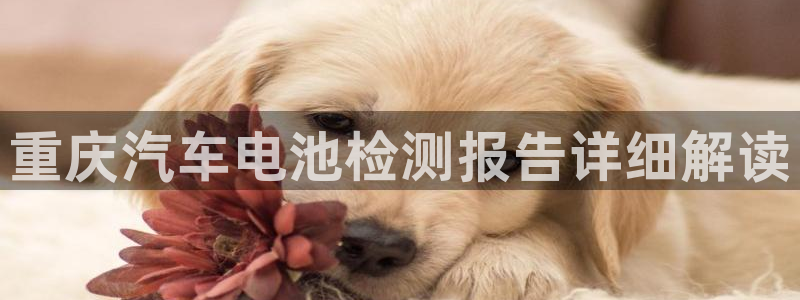 优发国际平台app下载官网