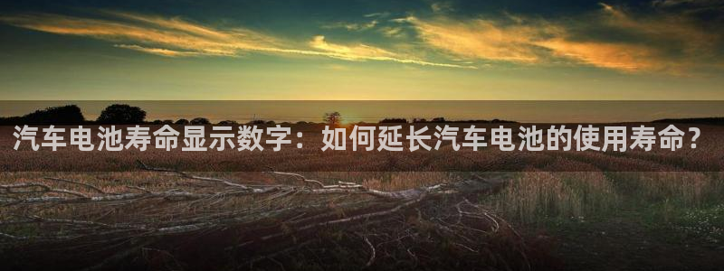 优发国际手机app下载安装最新版
