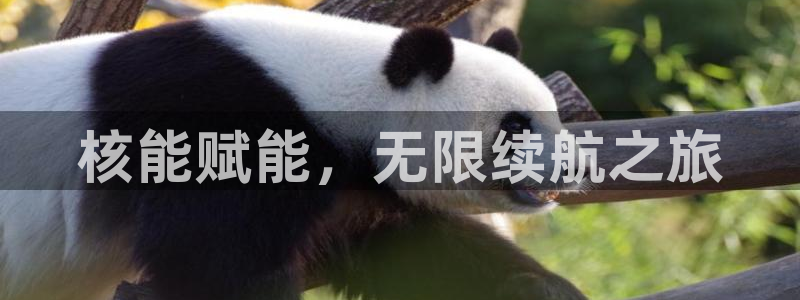 优发国际客服联系方式是什么