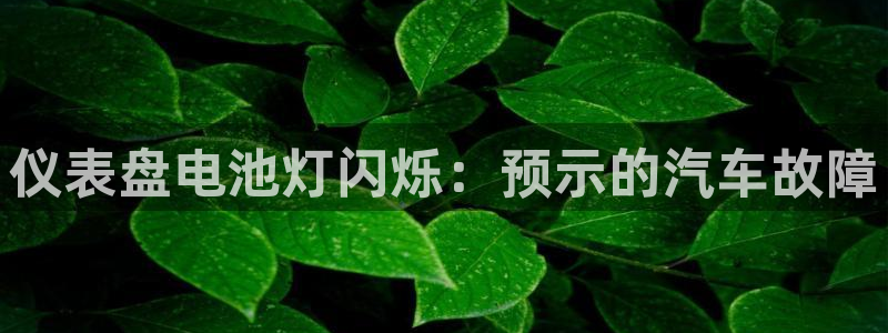 优发国际官网入口app下载苹果
