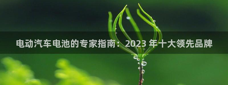 优发国际官方下载app