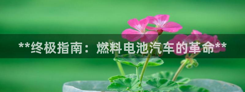 优发国际平台u8是什么软件