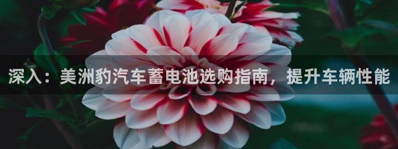 优发国际平台18
