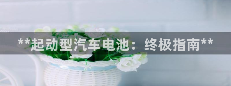 优发国际手机客户端下载不了