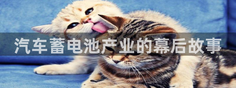 优发国际手机app下载安装