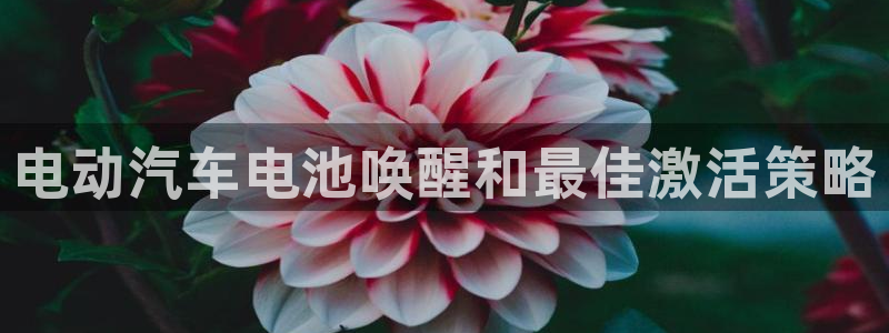 优发国际安卓版下载安装教程