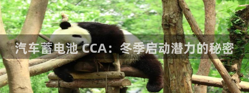 优发国际登陆