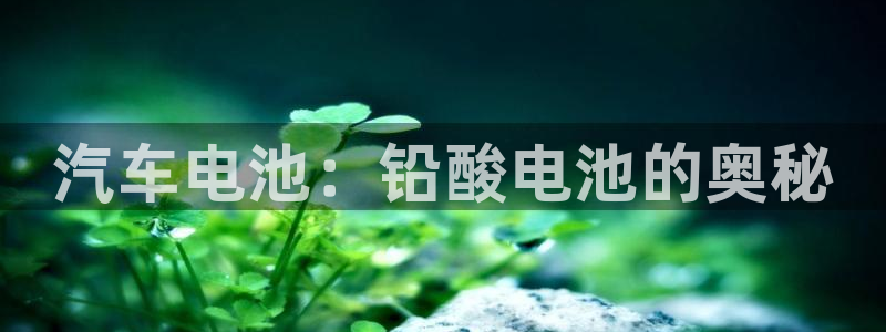 优发国际怎么样