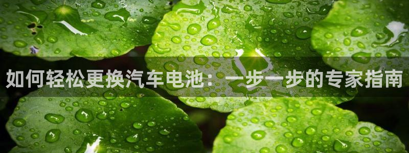 优发国际集团股份有限公司招聘