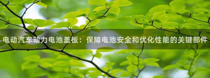 优发国际手机app下载安装最新版