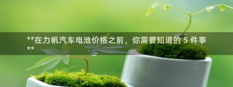 优发国际VIP网址