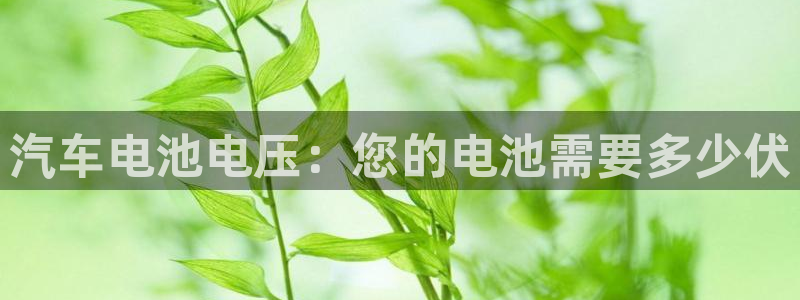 优发国际手机客户端官网