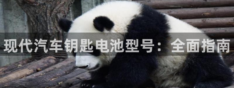 优发国际平台