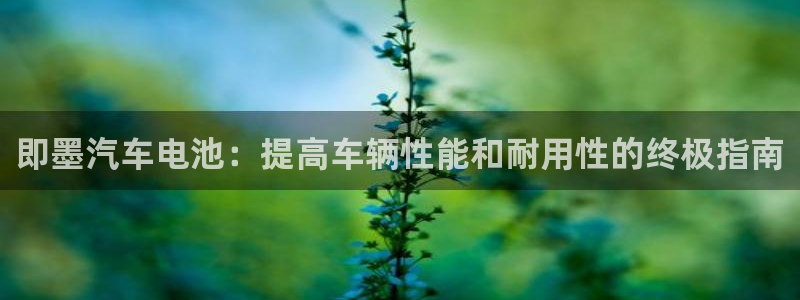 优发国际平台g80
