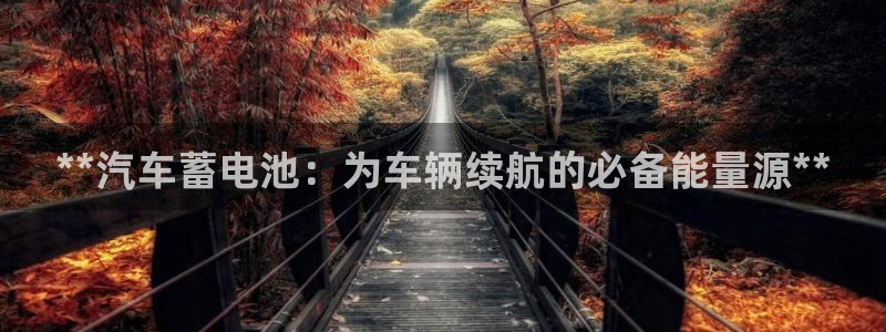 优发国际手机版下载安装