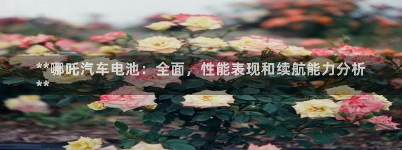 优发国际集团股份有限公司